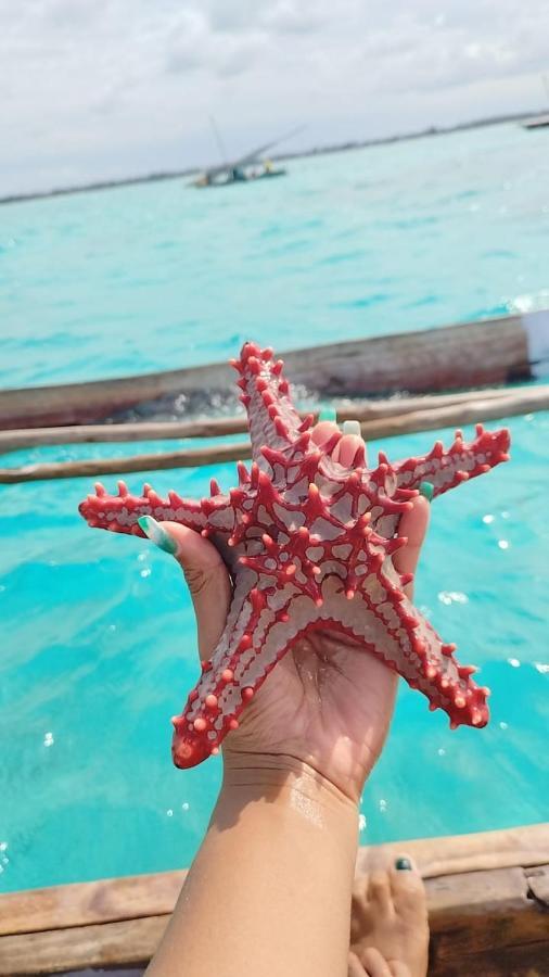 Pamoja Beach Stays Hotel In Jambiani 江比阿 外观 照片