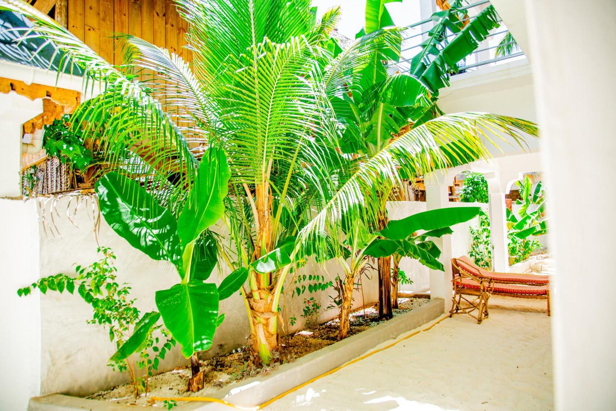 Pamoja Beach Stays Hotel In Jambiani 江比阿 外观 照片